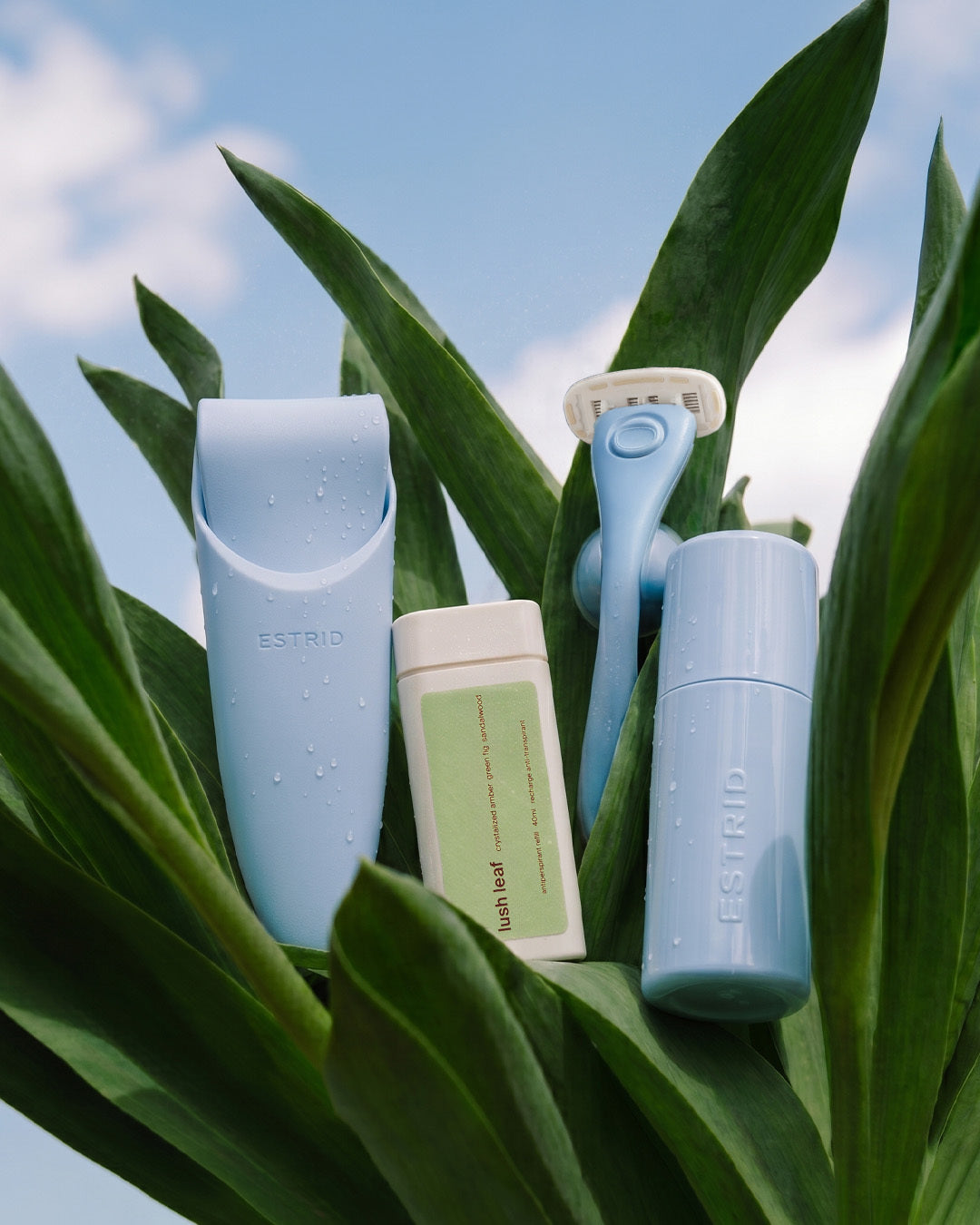 The Stay Fresh Spring Set