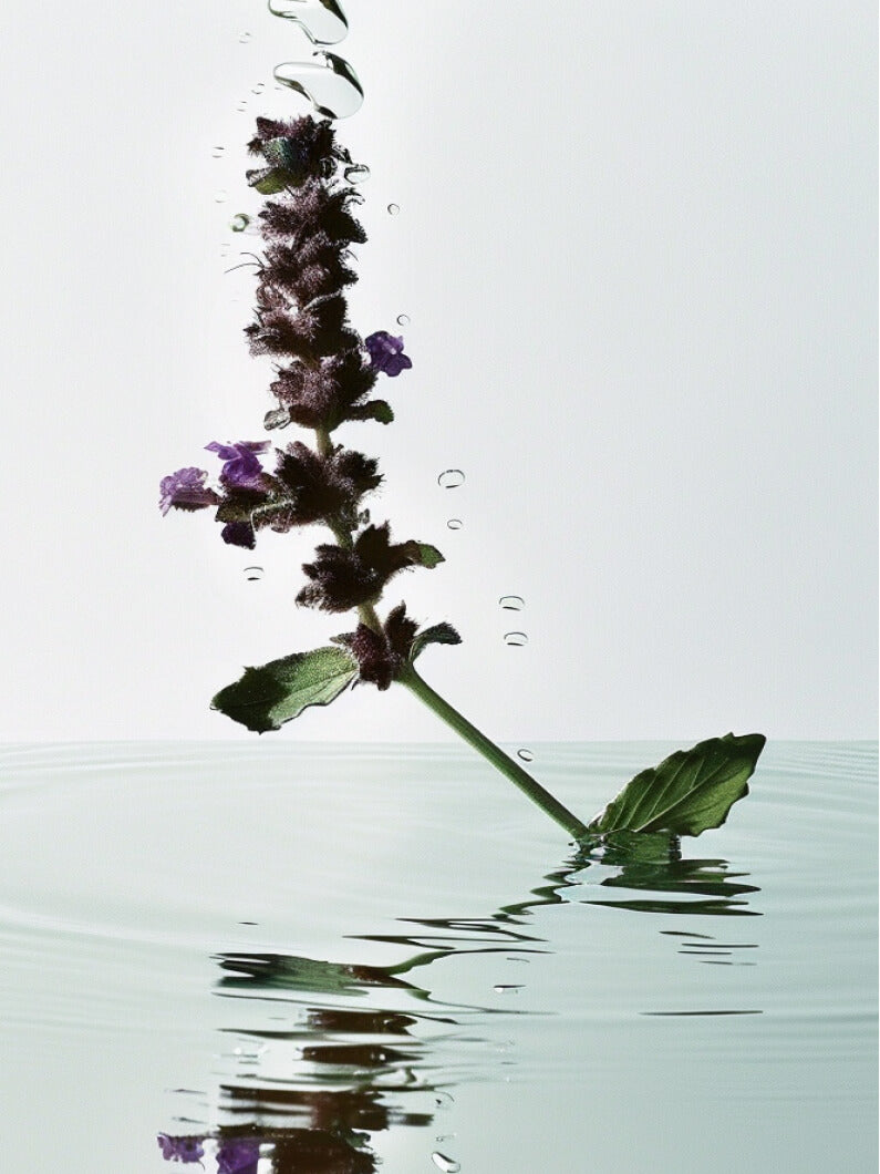 3x Antiperspirant Refill